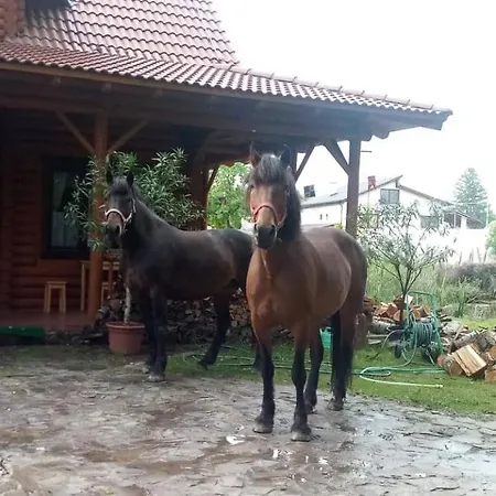 Dom Argyelus - Argyelus Haz - Fesztypark Guest house